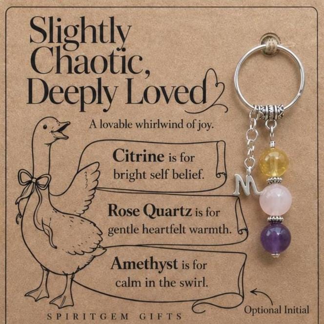 Silly Goose Gift, Funny Crystal Keyring with Illustrated 'Slightly Chaotic, Deeply Loved' Card