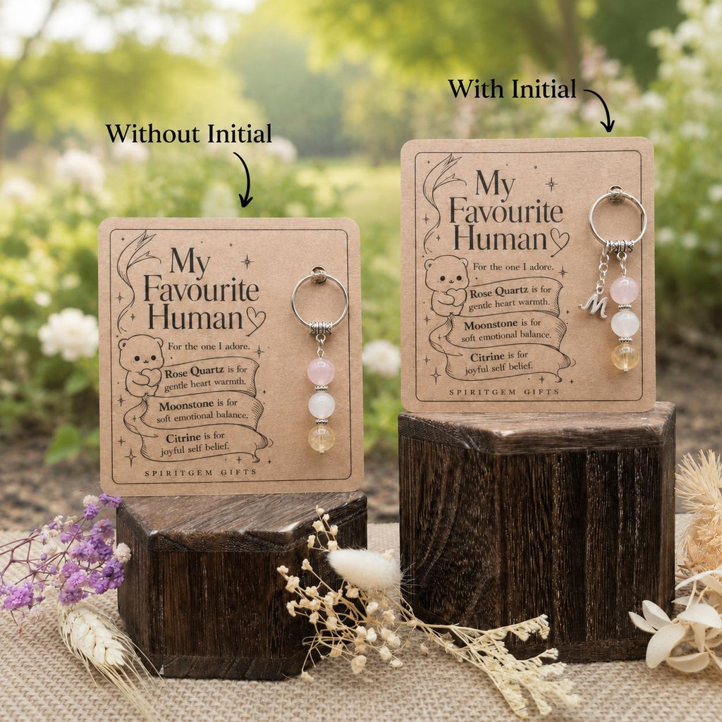 Galentines Gift, Best Friend Crystal Keyring with Illustrated 'My Favourite Human' Card
