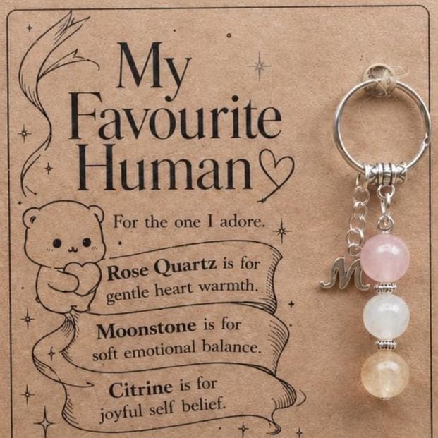 Galentines Gift, Best Friend Crystal Keyring with Illustrated 'My Favourite Human' Card