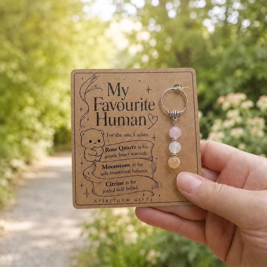 Galentines Gift, Best Friend Crystal Keyring with Illustrated 'My Favourite Human' Card